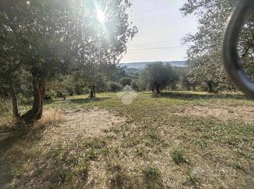 TER. AGRICOLO A SPOLTORE