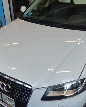 Cofano AUDI A3 del 2013