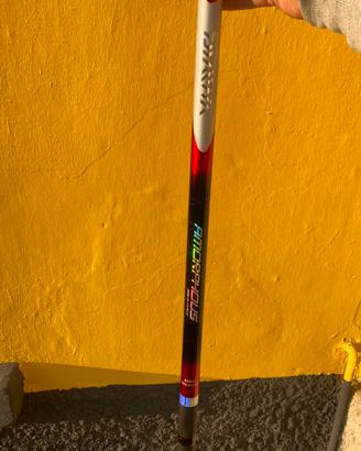 Daiwa Amorphous Pro Power 8 metri