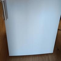 congelatore Sangiorgio SF10SW classe A++