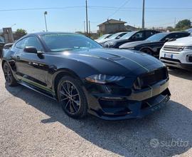 Auto visibile modello performance/shelby