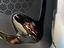 Immagine 14