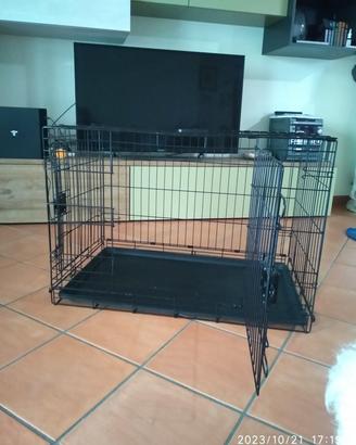 Kennel per cani
