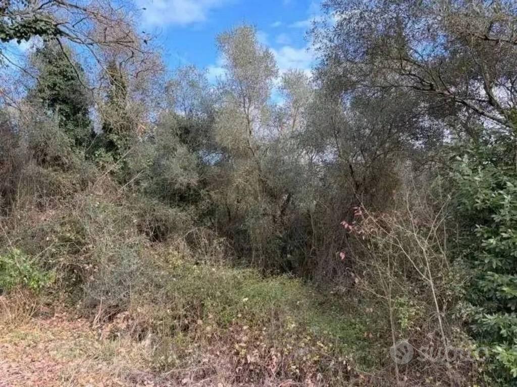 Immobile in asta di 14090 m² a Bomarzo - Vista 2