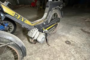 Motorino Peripoli day