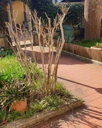 Casa indipendente di 210 m² con più di 5 locali a 