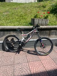 Specialized downhill