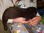 Immagine 4
