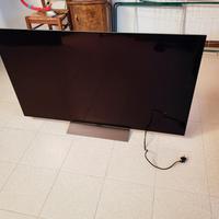 TV OLED LGC55C5ELB con schermo rotto