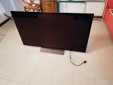 TV OLED LGC55C5ELB con schermo rotto