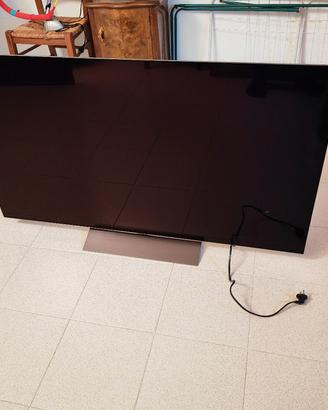 TV OLED LGC55C5ELB con schermo rotto