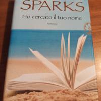 Ho cercato il tuo nome