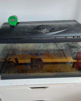 Acquario completo