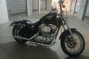 harley davidson 883 