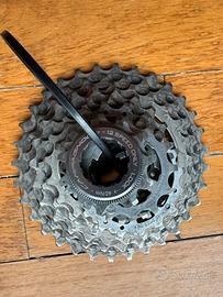 Pacco pignoni campagnolo super record 11/32