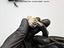 Immagine 24
