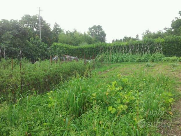 Terreno Agricolo - Vista 2