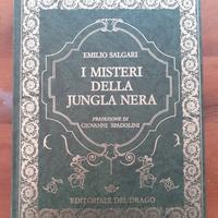 Il mistero della Jungla nera