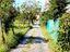 Immagine 12