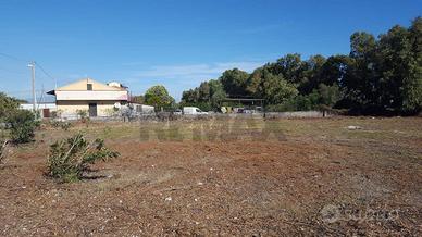Terreno - Catania