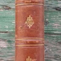 Libro Antico: E. Fleischer (1880)