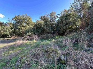 Rif.Ms02| terreno agricolo belpasso