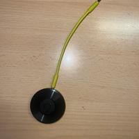 Chromecast audio