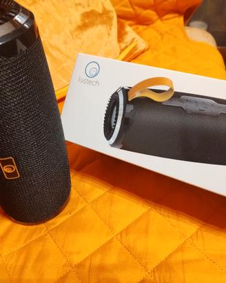 Cassa audio wireless 