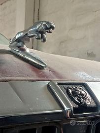 JAGUAR - SOUVERING  -TROUS  ATTREZZI   - ORIGINALE