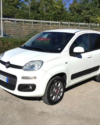 Fiat Panda 1.3 MJT 80 CV 4x4 Van 2 Posti