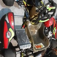 Go kart lgk motore tm k9c