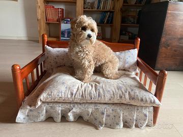 Cuccia cane in legno CAMON 75x50