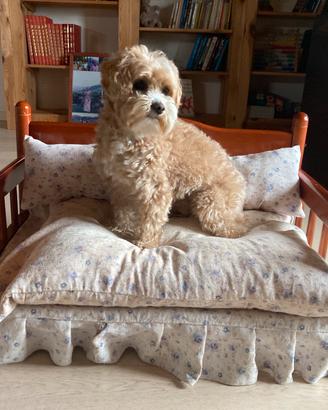 Cuccia cane in legno CAMON 75x50