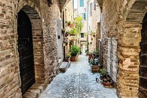 Negozio a Torre di Palme