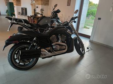 Harley Davidson V-Rod