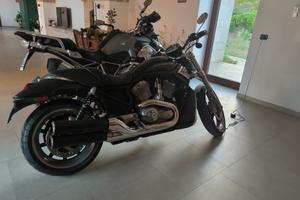 Harley Davidson V-Rod