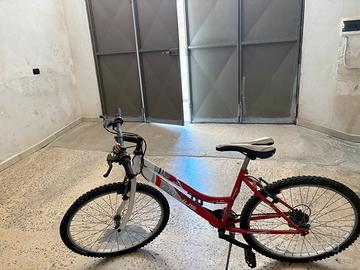 Bicicletta