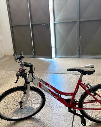 Bicicletta