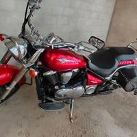 Kawasaki custom