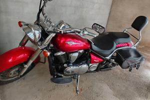 Kawasaki custom