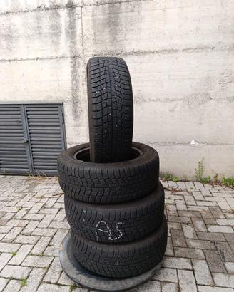 Gomme da neve