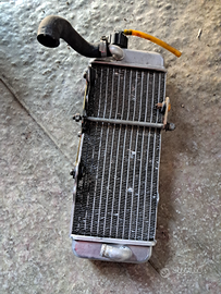 Rotax max