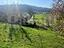 Immagine 14