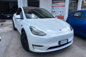 TESLA MODEL Y DUAL MOTOR