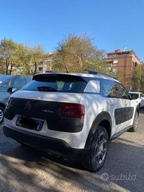C4 cactus