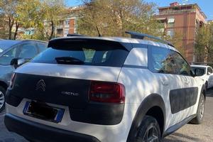 C4 cactus