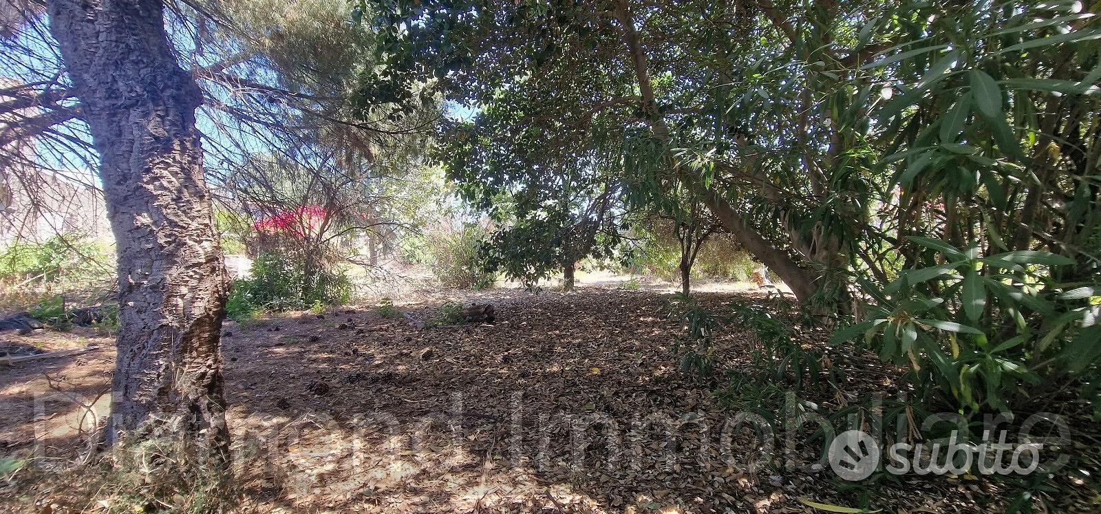 Antico casale con terreno a Carrubba di Giarre - Altro
