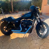 Harley davidson 883