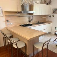 Cucina angolare moderna con penisola