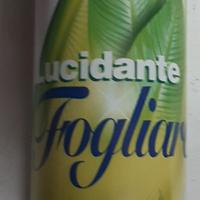 Lucida foglie 